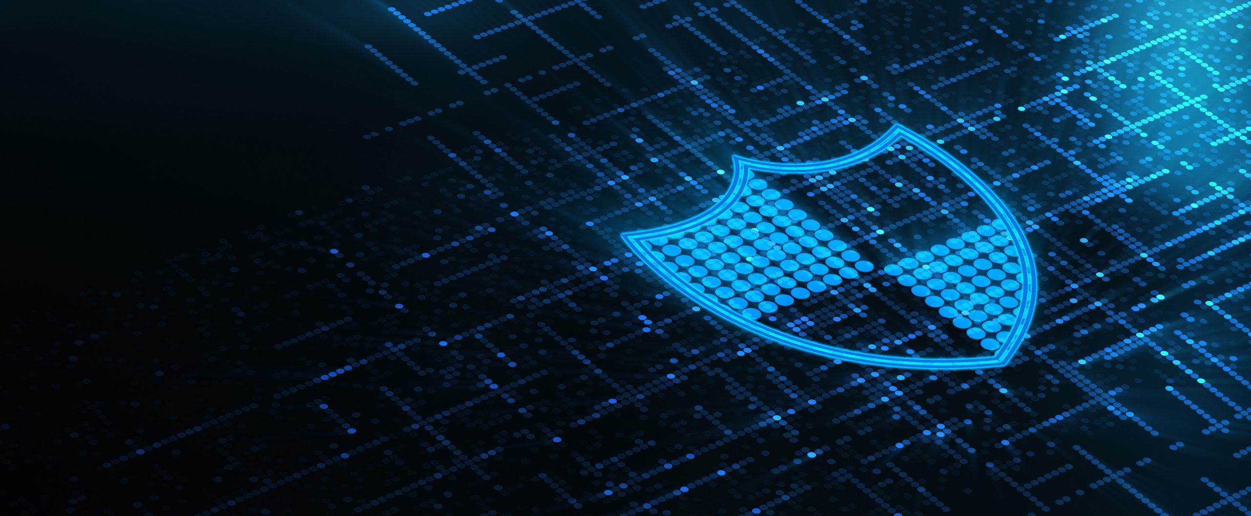 Data Protection and Security